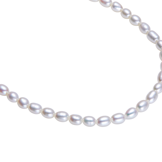 Pearl necklace on a white background