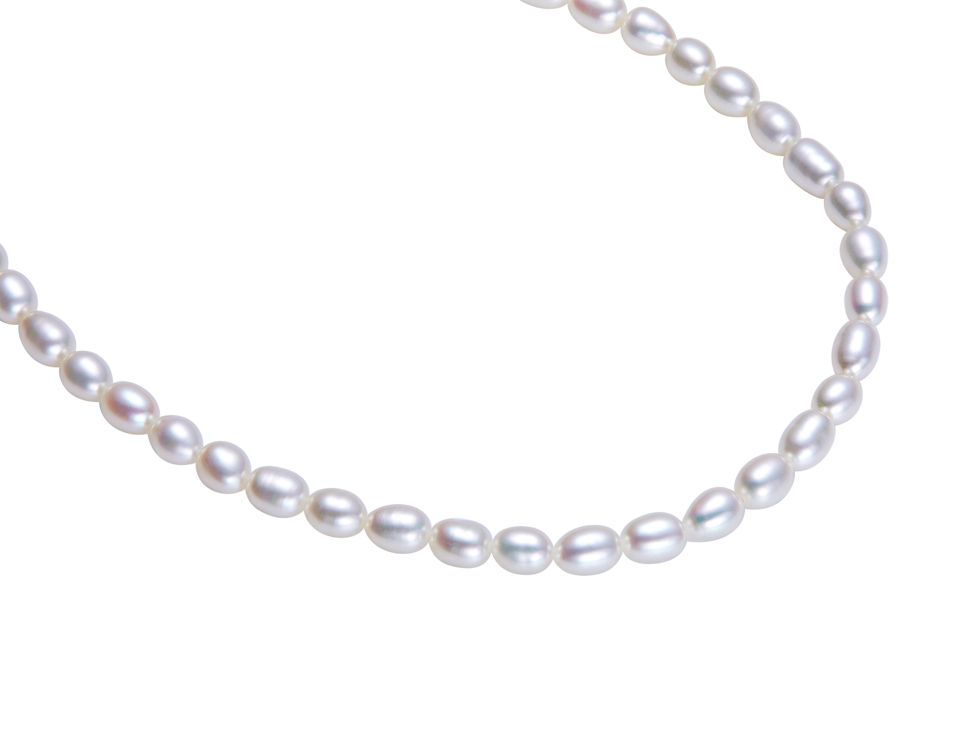 Pearl necklace on a white background