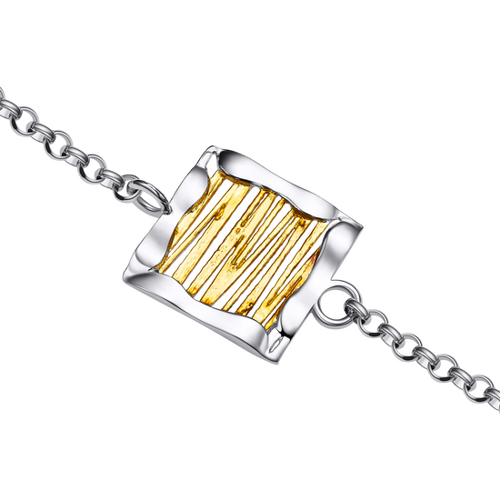 Jewelry with a gold inlay and silver chain on a white background